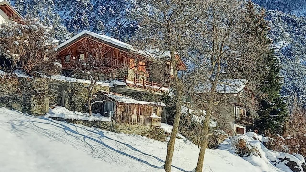 Eco Chalet Maison Dominique Challand-Saint-Anselme Buitenkant foto